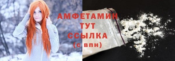 сатива Бородино