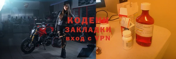 сатива Бородино