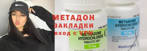 сатива Бородино