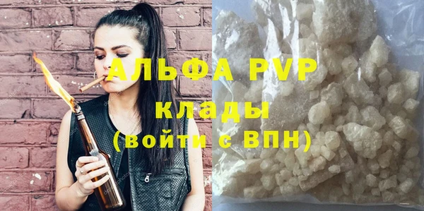 сатива Бородино