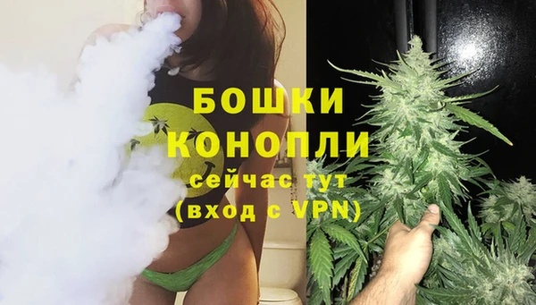 сатива Бородино