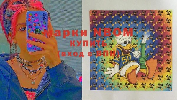 сатива Бородино