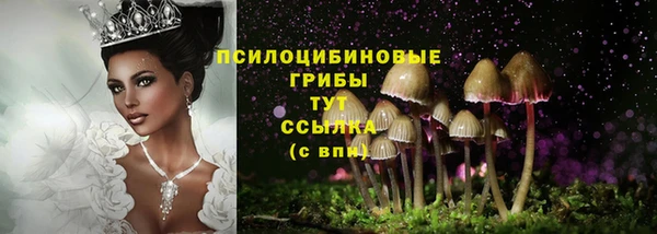 сатива Бородино