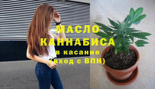 сатива Бородино