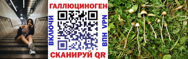 Купить где  Лабытнанги  Псилоцибиновые грибы Magic Shrooms 